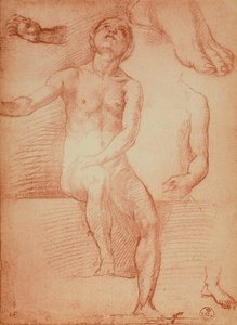 Tanulmány egy meztelen alakról és emberi végtagokról, Andrea del Sarto rajza. Rajzok és nyomatok kabinetje, Uffizi Galéria, Firenze